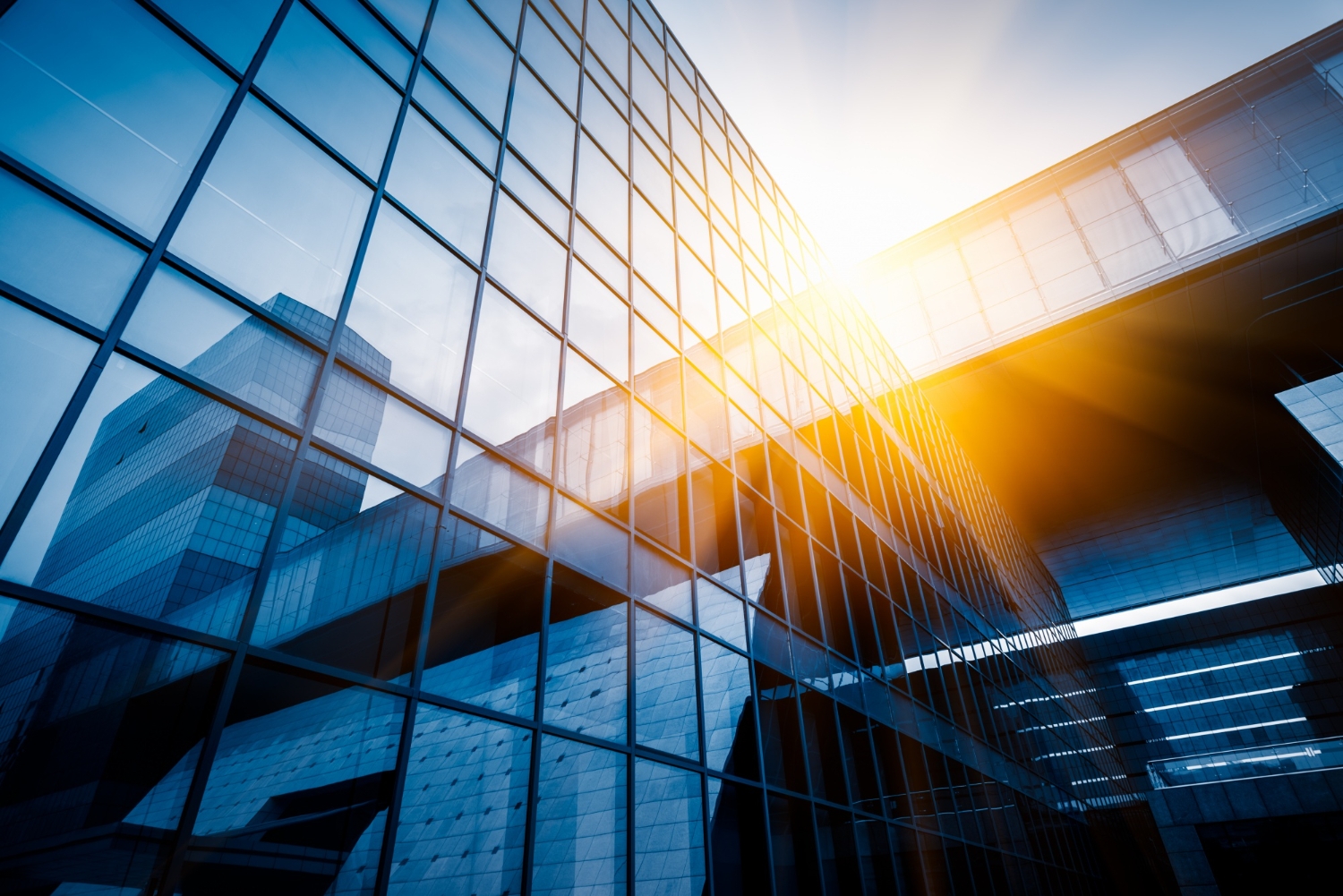 Rappresentazione visiva dell'articolo: Grandi patrimoni: come investe chi ha più di 100 milioni